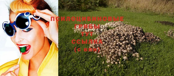 скорость Краснотурьинск