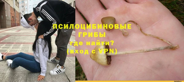 кокаин премиум Краснослободск