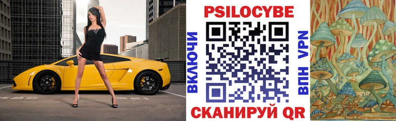 Псилоцибиновые грибы Magic Shrooms  OMG ссылки  Медногорск  что такое  