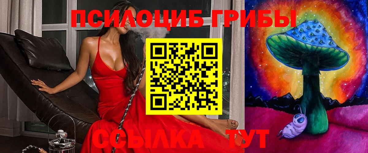 Галлюциногенные грибы Magic Shrooms Медногорск