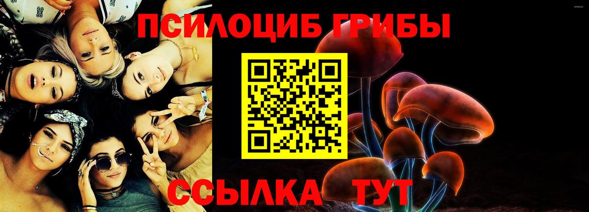 Галлюциногенные грибы Psilocybine cubensis  Вход с VPN  закладки  Псилоцибиновые грибы мухоморы  Медногорск 